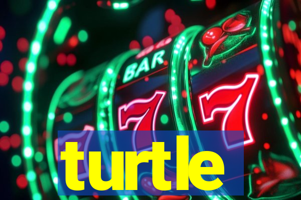 turtle-ty.com