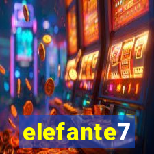 elefante7