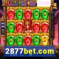 2877bet.com