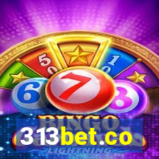 313bet.co