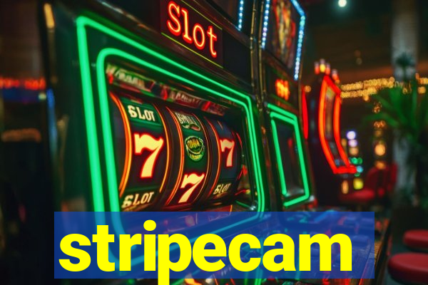 stripecam